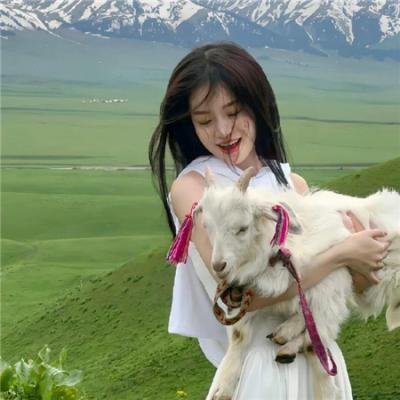 潜艇总动员：寻龙